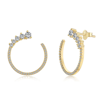 Pendientes Mujer in Plata Cubic Zirconia EEDWG01